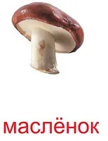 Картки Домана карток