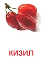 Картки Домана картки