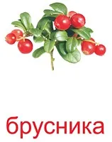 Картки Домана навчання