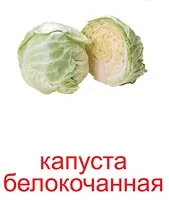Картки Домана навчання