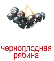 Картки Домана картки