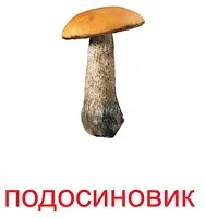 Картки Домана карток