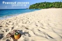 Коктейль Піна Колада (Pina Colada) - рецепт та історія - My Life colada