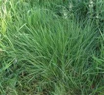каталог