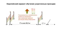 Кінний спорт коня