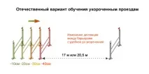 Кінний спорт спорт