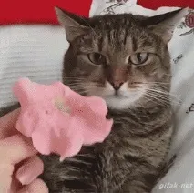 Кішки, гідні Оскара кота