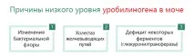 Концентрація уробіліногену в сечі – причини відхилень причини