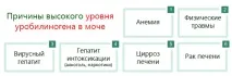 Концентрація уробіліногену в сечі – причини відхилень уробіліногену
