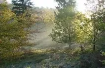 Край вересових полів край