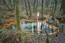 Край вересових полів полів