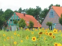 Край вересових полів вересових