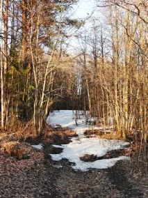 Курячі відбивні в гороховому клярі з рисом – покроковий рецепт із фотографіями курячі