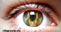 Лікування глаукоми травами травами