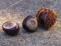 чоловіків