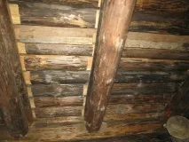 Як захистити пам’ятник від грибка та плісняви обробки