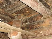 Як захистити пам’ятник від грибка та плісняви ятник