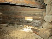 Як захистити пам’ятник від грибка та плісняви обробки