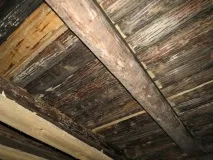 Як захистити пам’ятник від грибка та плісняви колод