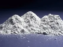 Як вибрати отруту для щурів щурів