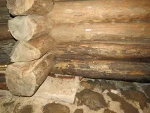 Як захистити пам’ятник від грибка та плісняви плісняви