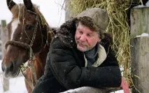 Найкращі фільми сучасності про Велику Вітчизняну Війну найкращі