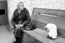Лохотрон для бабусь бабусь