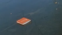 ковбасу