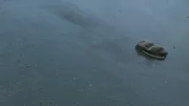 Шурик