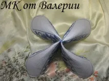 різноманітність