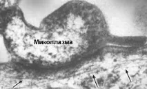 бути
