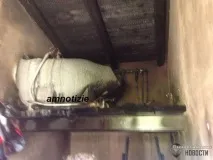 містичні