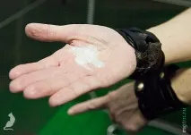 Сечі кота! кота