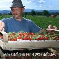 Натуральні продукти харчування - користь для здоров’я та схуднення - Популярне про здоров’я продукти
