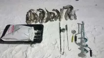 Волзі