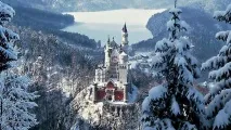 Новий рік та Різдво в Бельгії → Іммігрант Інвест Бельгії