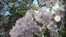 по-флагманськи
