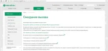 мегафоні