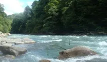 ультралайт
