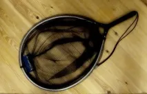 гірських