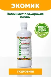 Осінній догляд за яблунею обрізка, побілка, внесення підживлення, боротьба зі шкідниками догляд