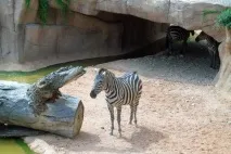 відпочинок
