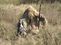 Особливості гусячого полювання види гусей, маскування, поради мисливців гусячого