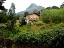 Острів Робінзона Крузо Робінзона