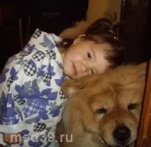 Обережно, домашні улюбленці людини