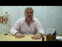 організмі