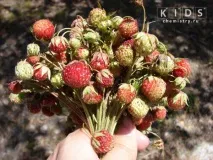 Озеро Шибиндиколь у Східному Казахстані дуже