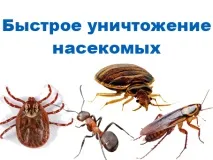 ОТІТ У СОБАК собак