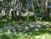 Озеро Шибиндиколь у Східному Казахстані східному