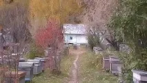 Бджільництво восени восени